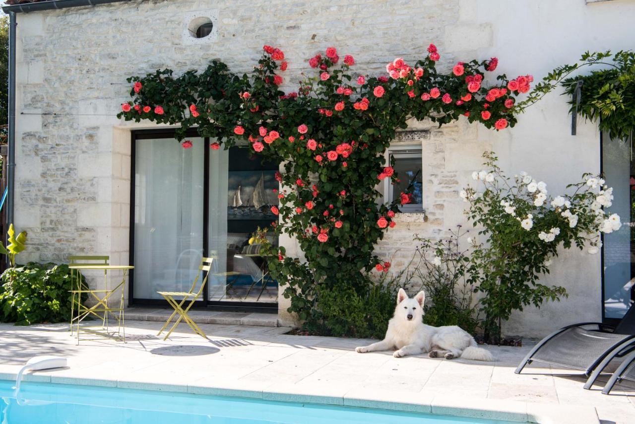 Le Logis De La Brumanderie - Saintes Fontcouverte  Bagian luar foto
